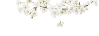 圖片關(guān)鍵詞 圖片關(guān)鍵詞